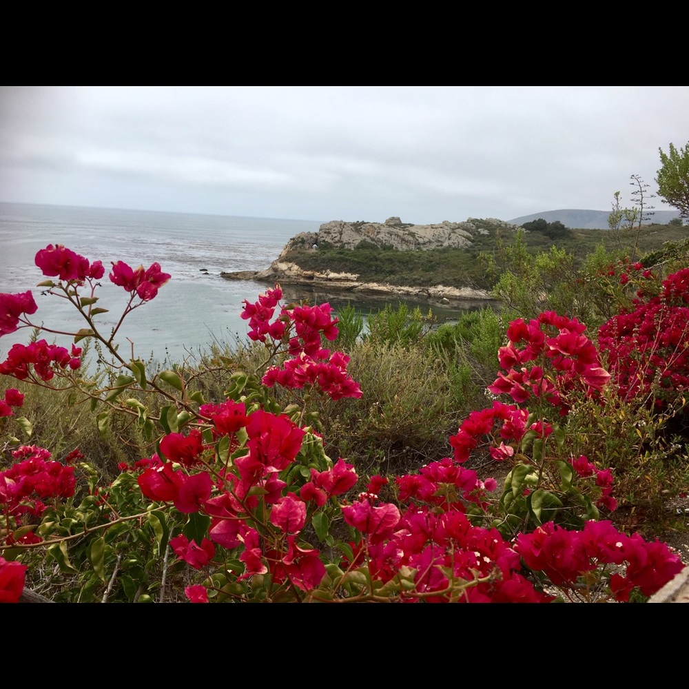 Meet your Posher, Cece